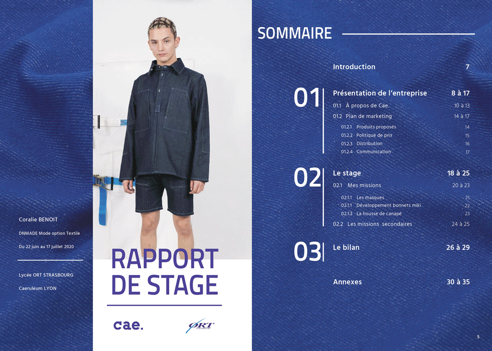 Présentation de la mise en page graphique du document sous forme de gif montrant toutes les pages du document