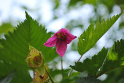 park over exposure_32