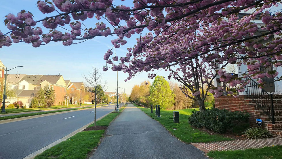 A vibrant community featuring premium amenities and access to top-rated school districts.