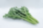 Kale เคลใบหยิก