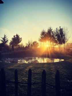 Capture d’écran 2022-06-06 à 15.44.16.png