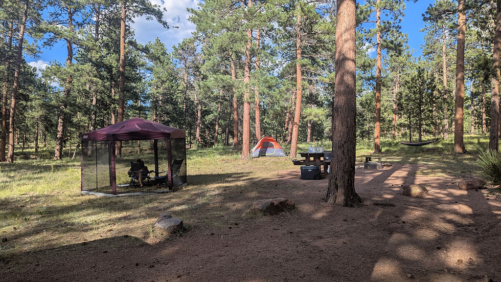 a campsite with a screened in canopy