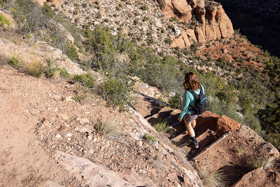 Woman hiking down rocky trail in sunny, desert landscape with red cliffs and scattered green shrubs. Wearing teal shirt and backpack.