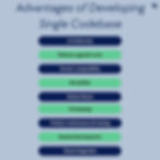 Advantages of developing single codebase