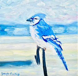 Blue Jay 3