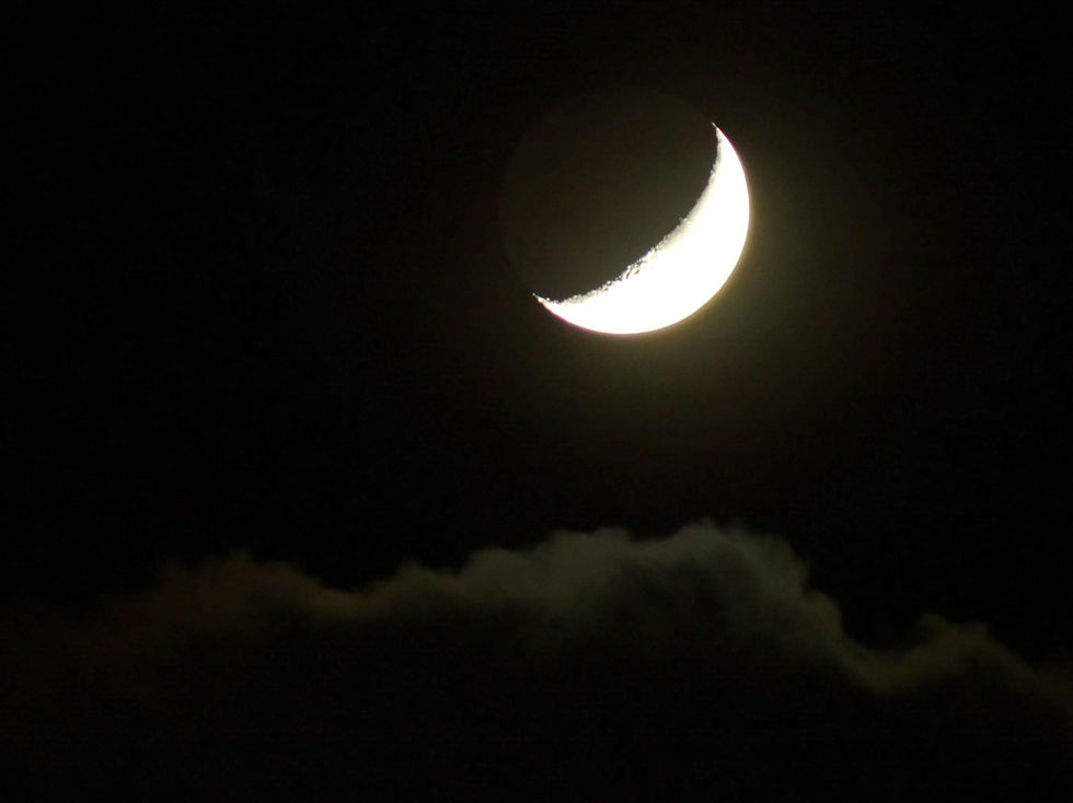 Пепельный свет