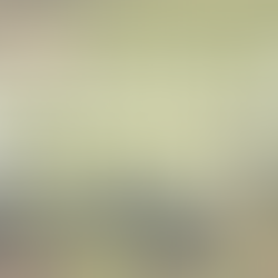 What is Intersectional Agriculture? 