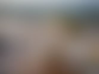 Porque o "Dia do Lixo" é problemático!