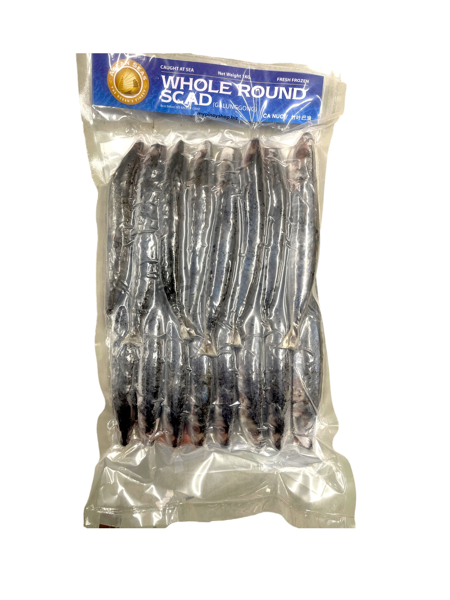 Asean Seas Whole Round Scad Galunggong 1kg