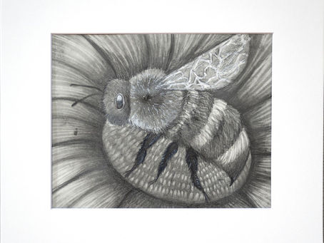 Student Art Contest Winners, 2024