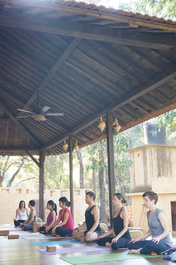 Daily Mindfulness Meditation