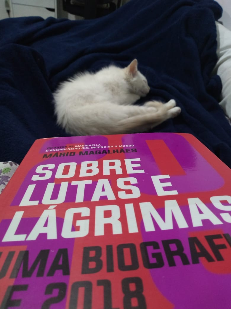 "Sobre lutas e lágrimas" Foto: Clara Mayrink