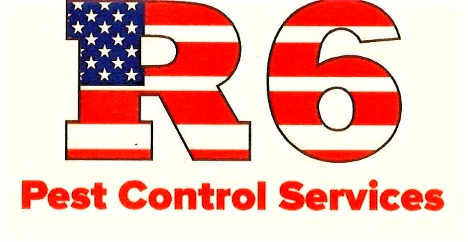R6%25252520logo_edited_edited_edited_edited.jpg