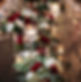 20210402_160116000_iOS_edited_edited.jpg