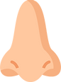 nose.png