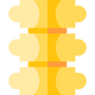 vertebra.png