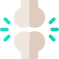 femur.png
