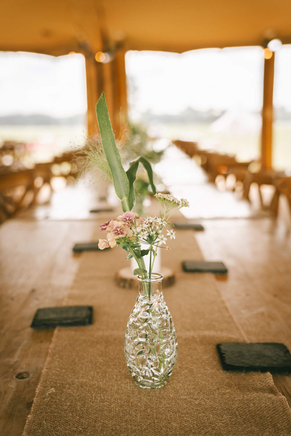 Carter-Orton Photography -  