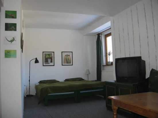 Pokój Leśny