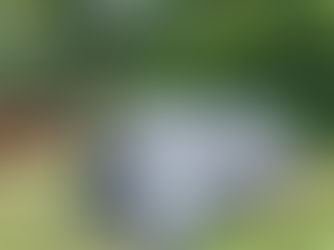 Biofertilizante Gerado pelo Biodigestor Anaeróbico