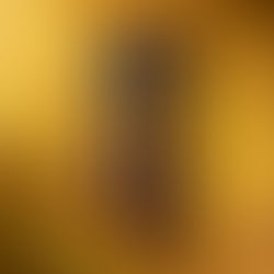 🔥 Tampa Stogie Steve’s Smoke Report – Davidoff Brings It Back with Puro Dominicano 🔥