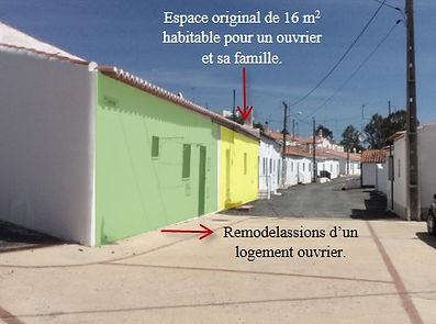 Source de l’identification: Auteur. Source des photos au fond : Spencer Moise.