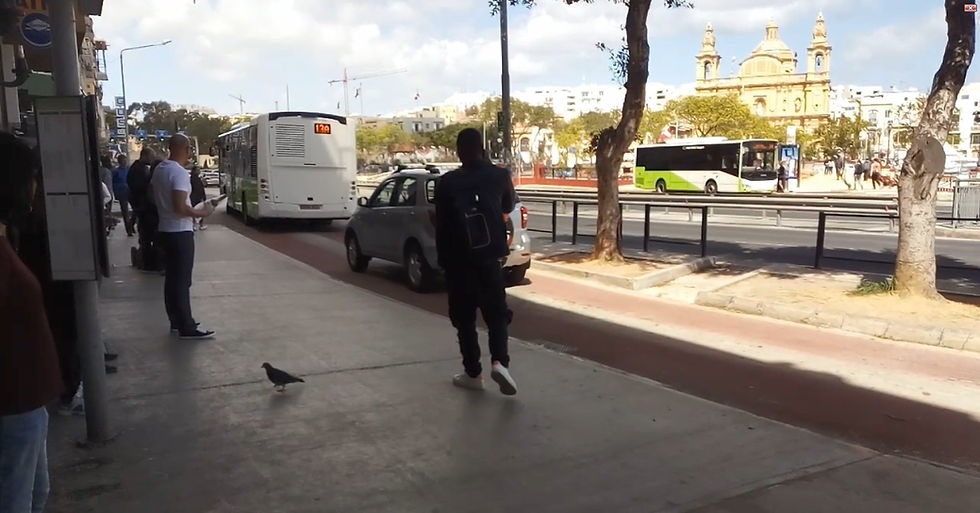 "Kullegg" Bus stop in Msida, Malta. Photo R. Dang