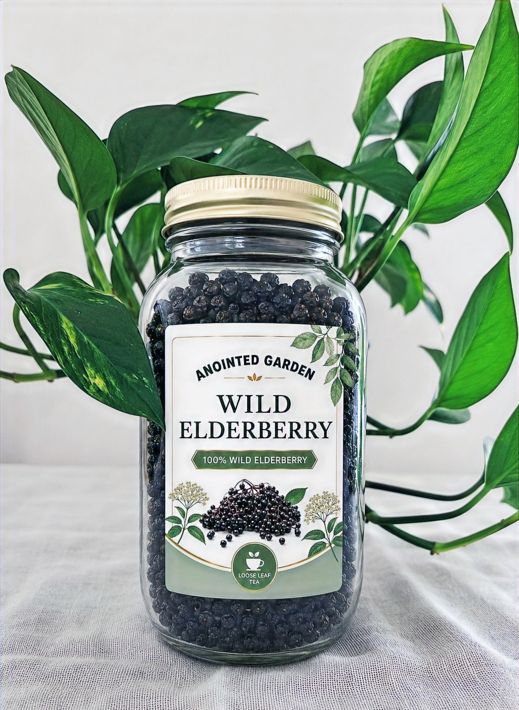 Wild Elderberry