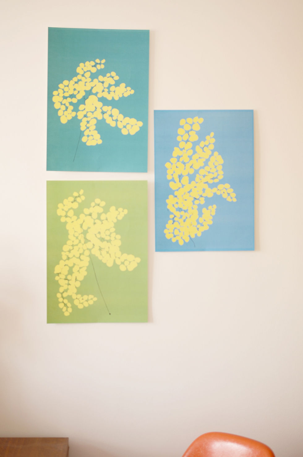 Miniature : Affiche A3_Mimosa Emeraude