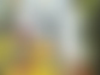 Varla Bishop- March 2026