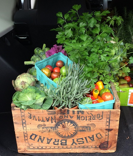 Item: Vintage crate