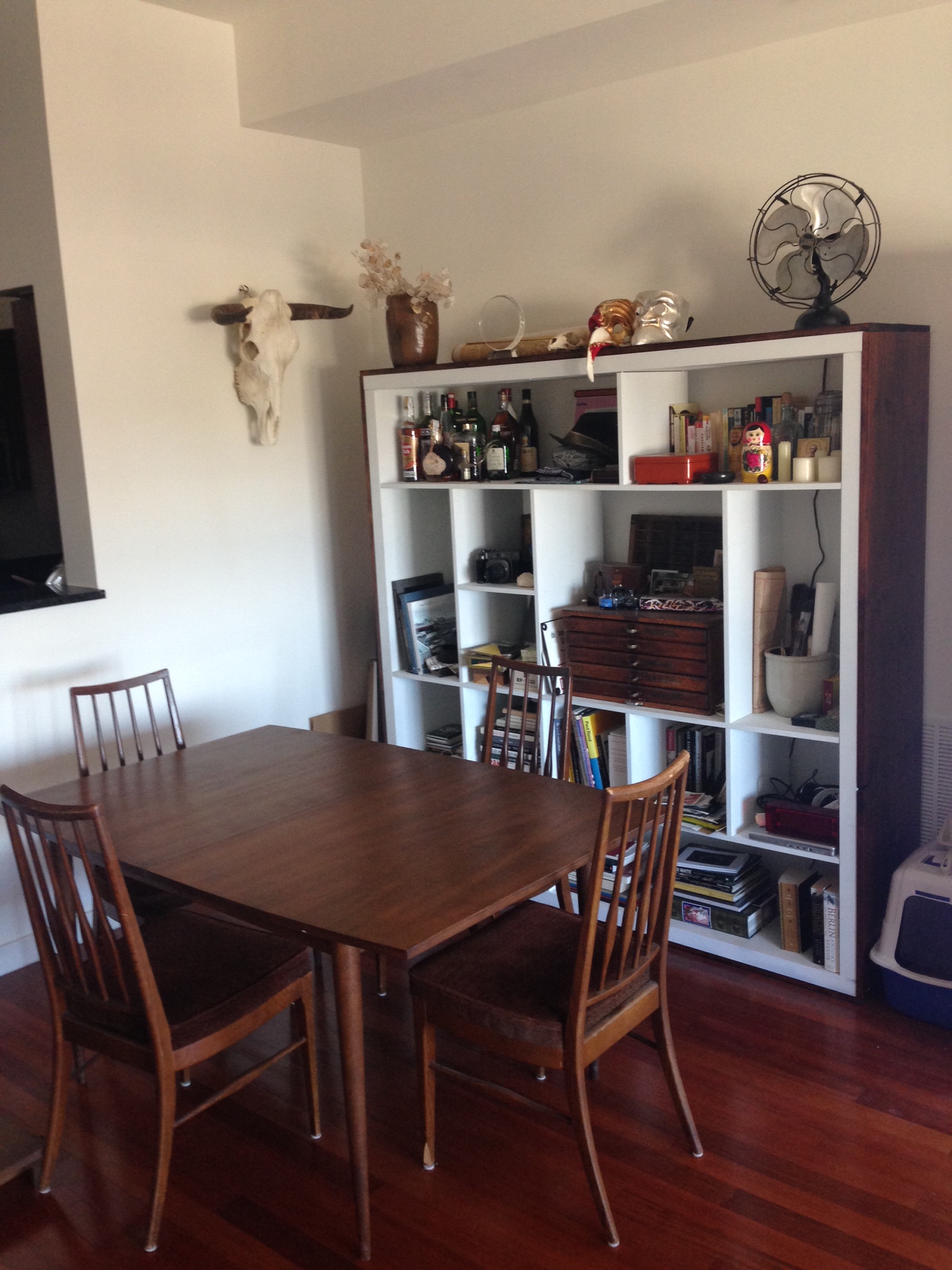 Item: MCM table; Cow Skull
