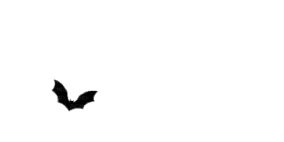 1559516_dfd80.gif