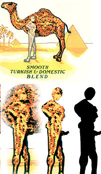 camel-subliminal-messaging.jpg