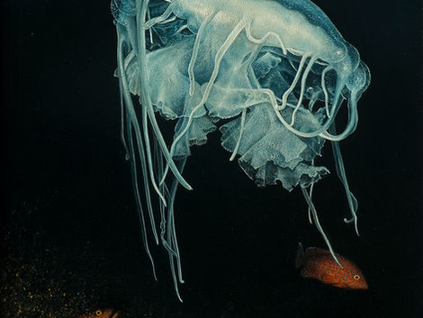 Ocean and underwater world