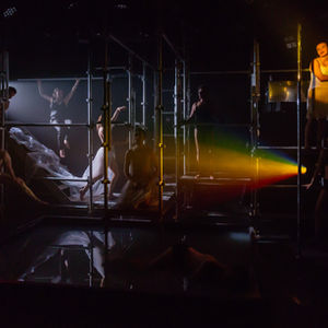 Metamorphoses