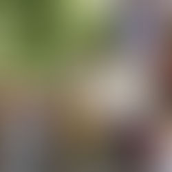 Significant local news story in Latvia