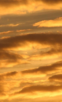 WhatsApp Image 2020-03-18 at 14.38.18.jp