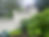 privacy-wood-fencing-residential-backyard-professional-installation-repair-fence-contracto