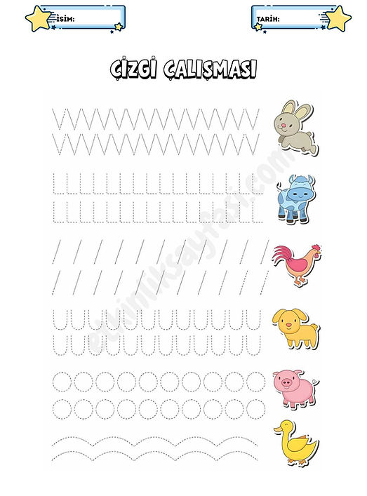 çizgi çalışması