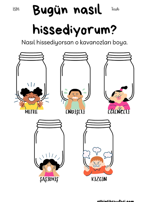 duygular, his