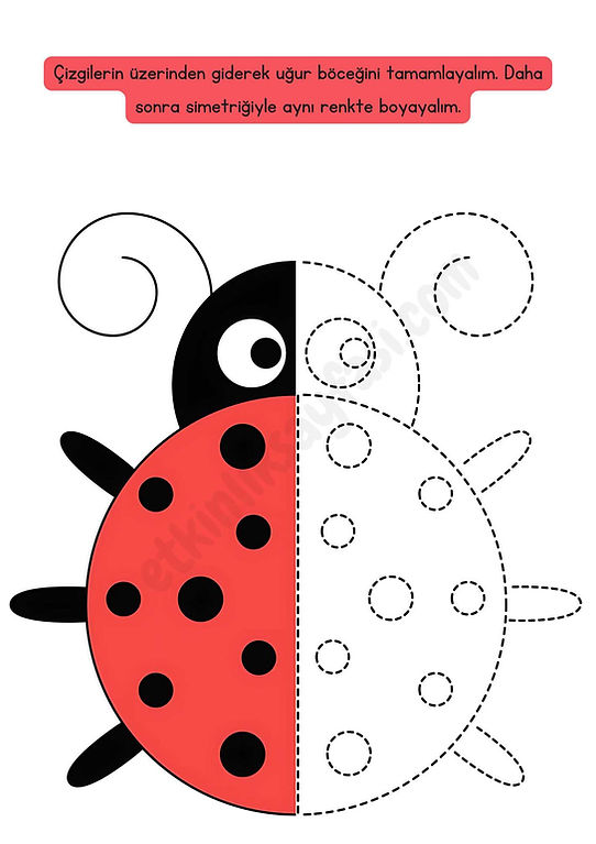 simetri, çizgi çalışması