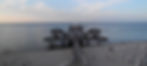 DSCI0434_edited.jpg