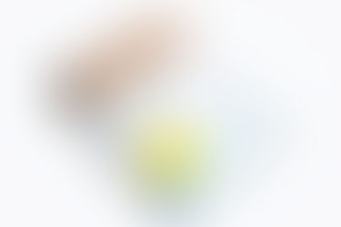 書籍『マインド・エベレスト』見本完成