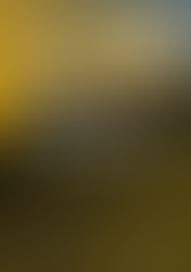 Book Launch of Observing the Volcano World: Volcano Crisis Communication.