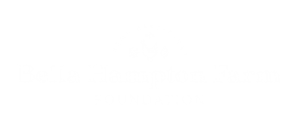 BHFF_Logo_Horizontal_White.png