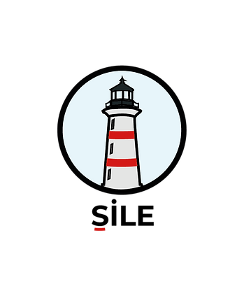 portfolyo çalışmaları (9).png