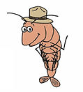 Cartoon shrimp with hat waving