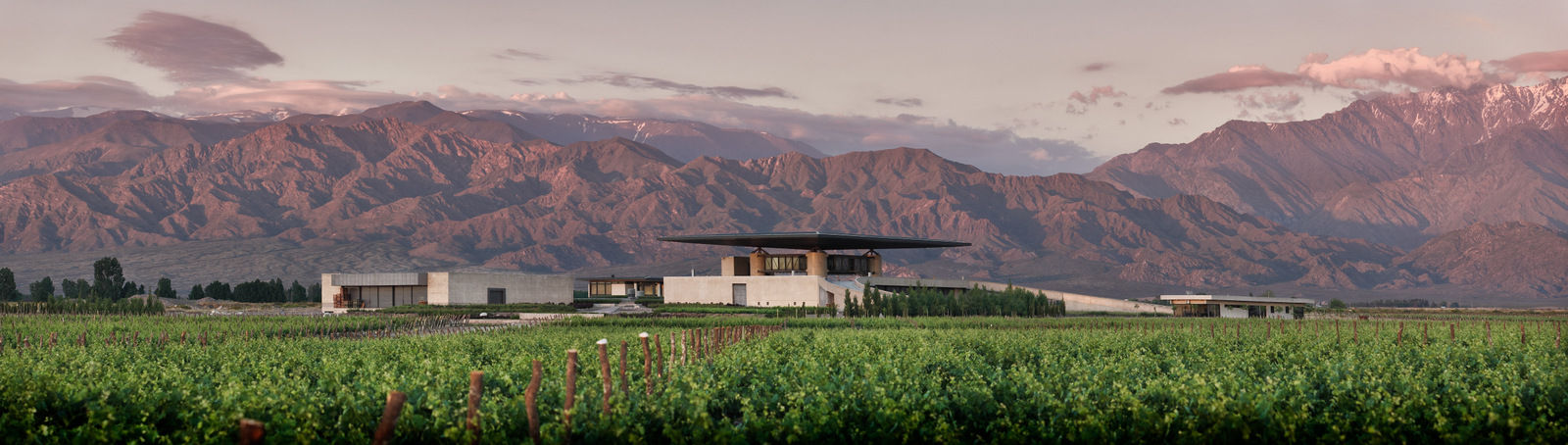 Enoturismo en mendoza con Casa Dionisio