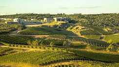 Enoturismo en Uruguay_viñedos en Los Cerros de San Juan Casa Dionisio